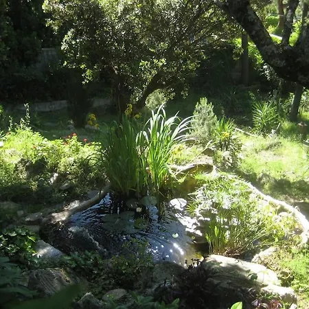 La Rocalla Del Tietar Casa vacanze *