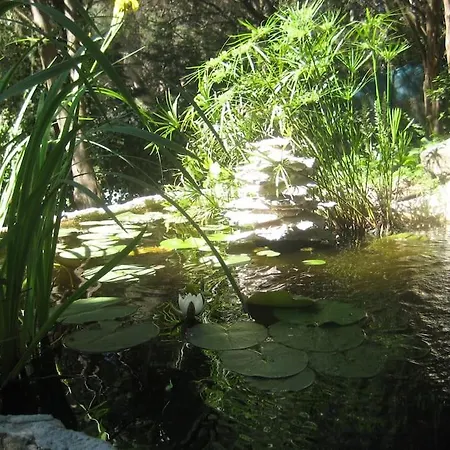 Casa vacanze La Rocalla Del Tietar *