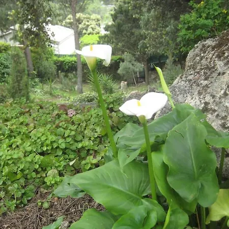 Casa vacanze La Rocalla Del Tietar